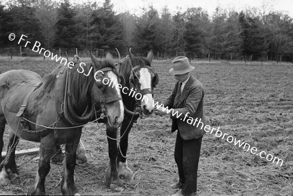 BRIAN KEHOE AS FARMER